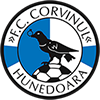 CS Corvinul Hunedoara