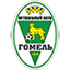 FC Gomel