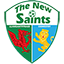 The New Saints